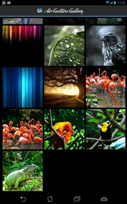 Air Gesture Gallery android App screenshot 1